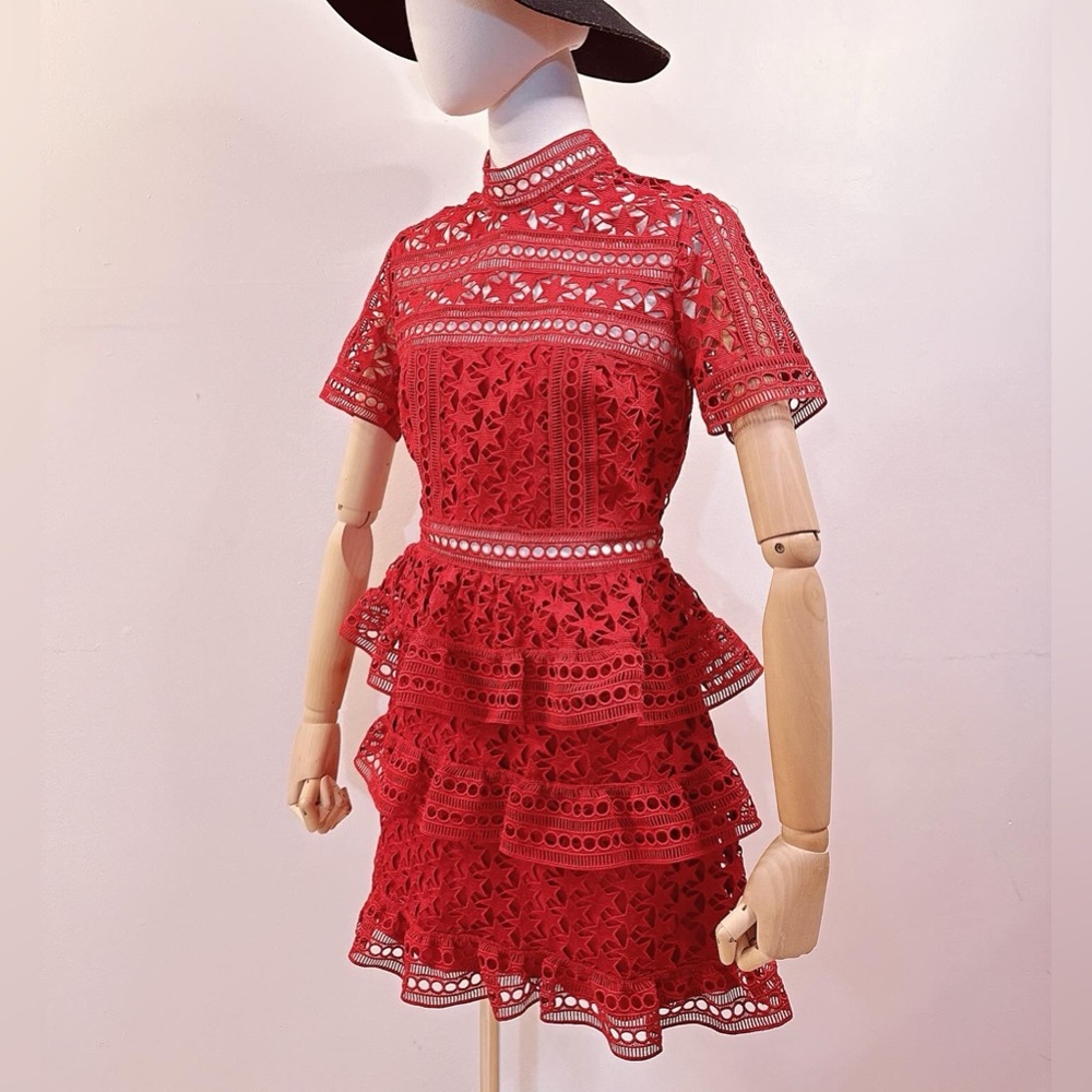 HIGH NECK STAR LACE PANELLED DRESS By Self-portrait - Picture 4 of 10